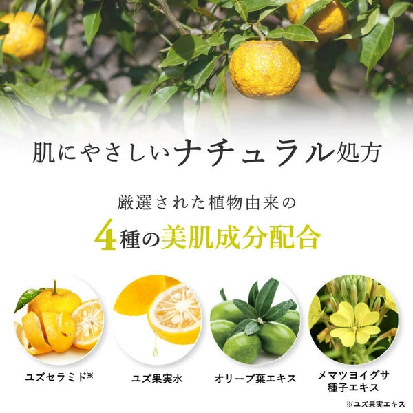 Oranges on a tree with natural treatment formula text and botanical images below.