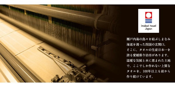 Imabari Cake Handkerchief Towel